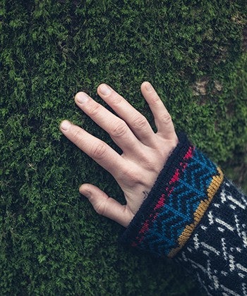 hand on tree