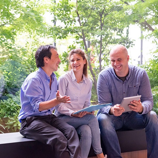 image of trees in a forest