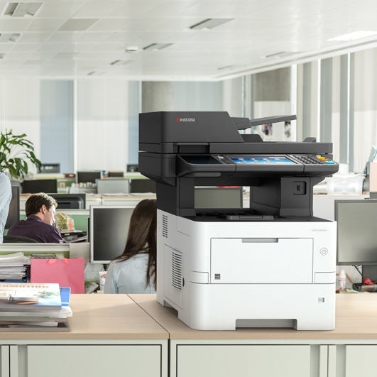 ECOSYS