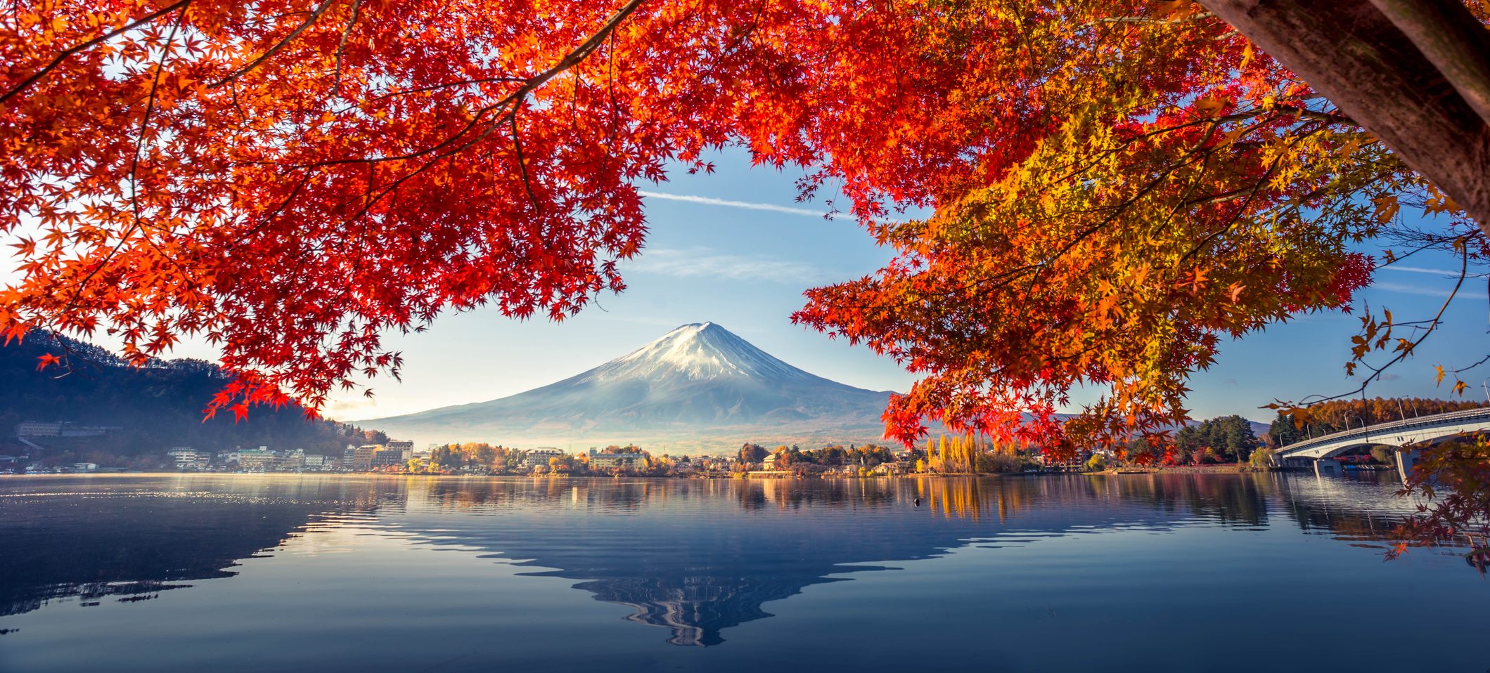 Colorful Autumn Season and Mountain Fuji with morning fog and red