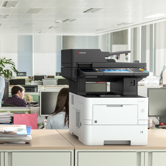 ECOSYS