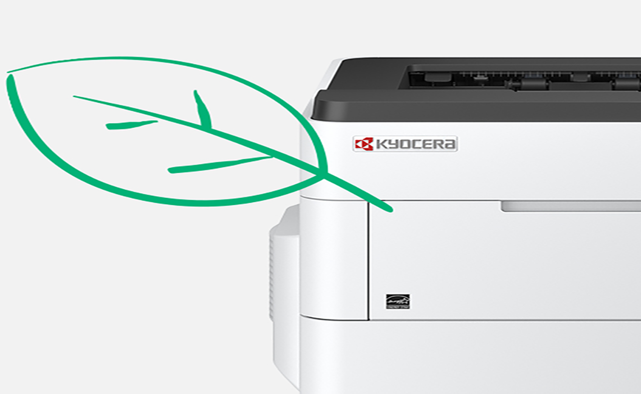 Ecosys Printer